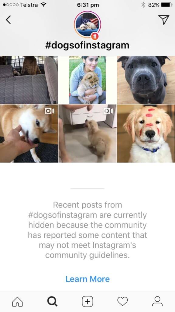 dogsofinstagram banned hashtag
