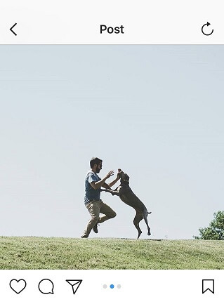 carousel-posts-man-with-dog-example1