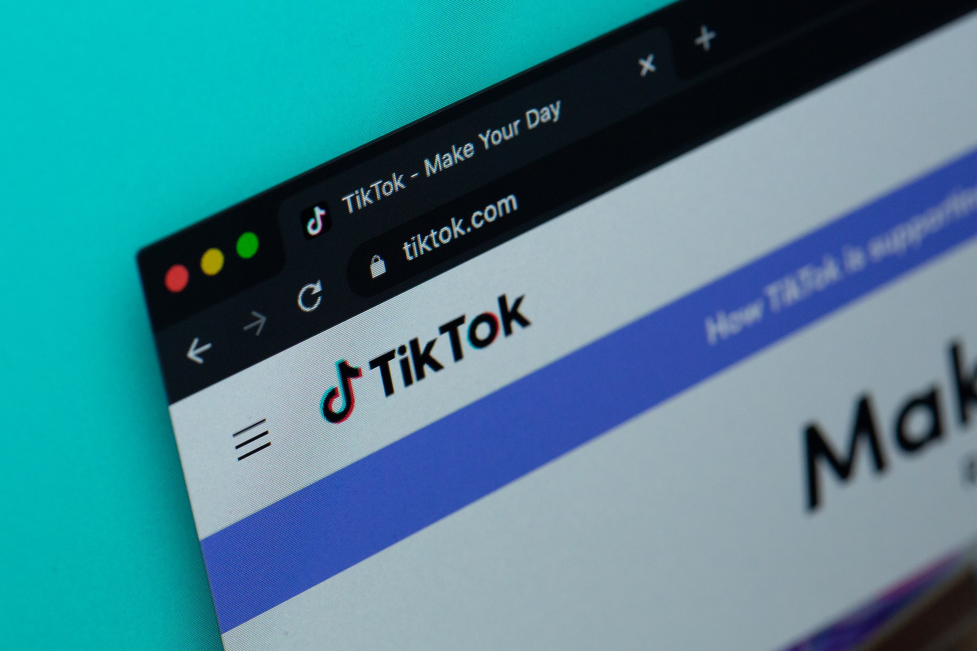 the smallest verified account｜TikTok Search