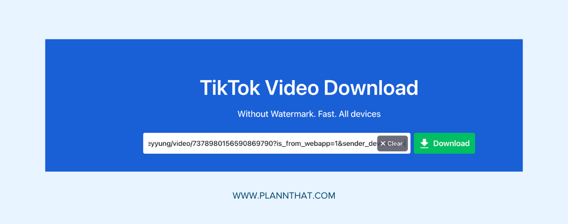 SnapTik watermark removal tool for TikTok videos