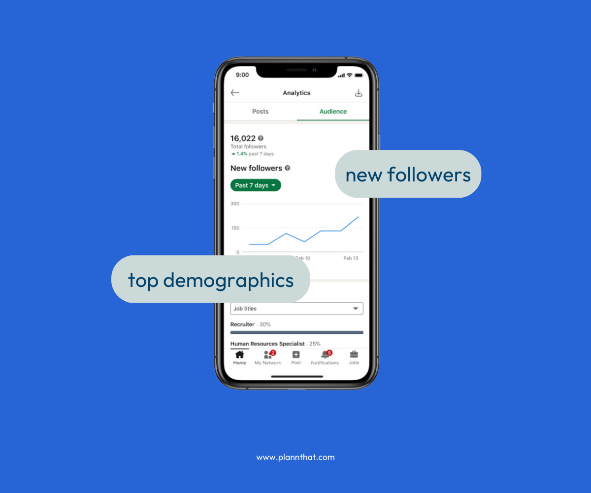 A screenshot of the Audience tab within LinkedIn analytics, depicting a graph showing follower growth and the Top demographics section.  