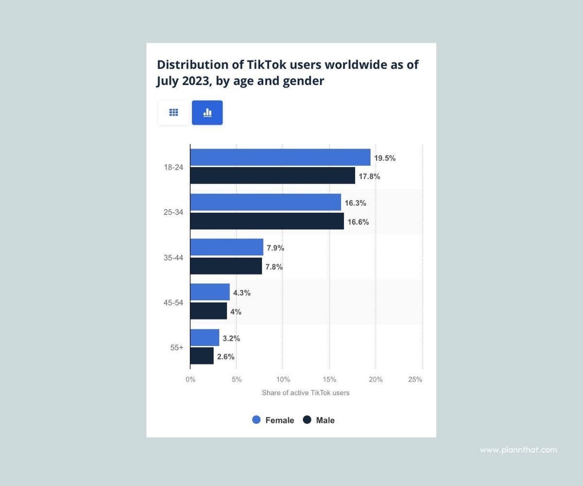 tiktok ad demographics